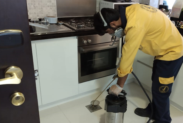 pest control company in dubai, uae