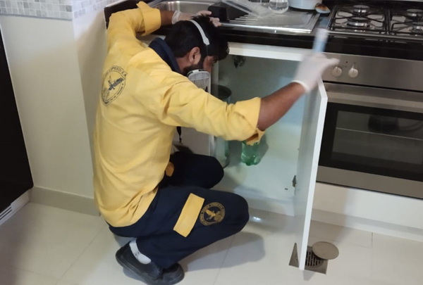 pest control company in dubai, uae