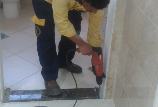 pest control company in dubai, uae